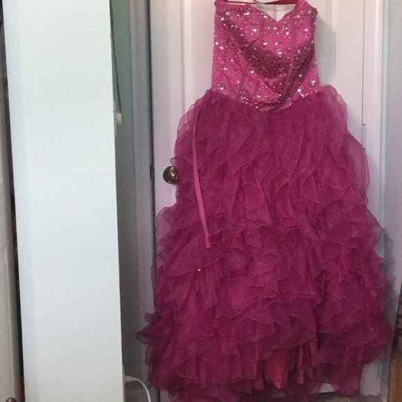 Pink Gown/ Quinceañera Dress - Picture 1 of 4